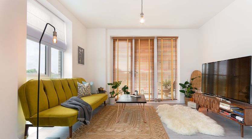 Photo of Clear Sighting