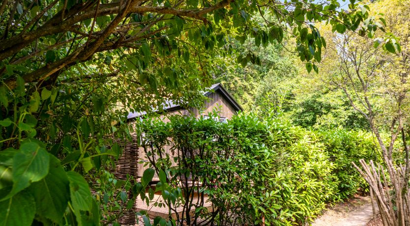 Photo of The Sussex Sanctuary