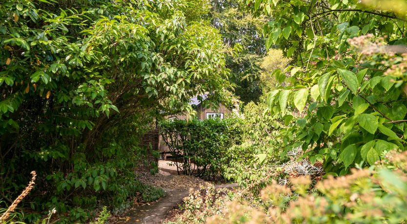 Photo of The Sussex Sanctuary