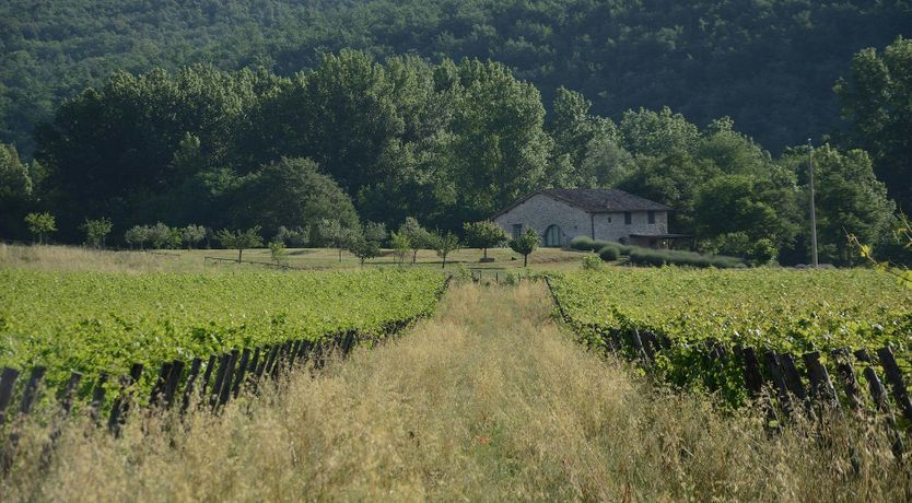 Photo of Sun Beams in Tuscany
