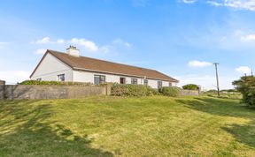 Photo of Little Tara