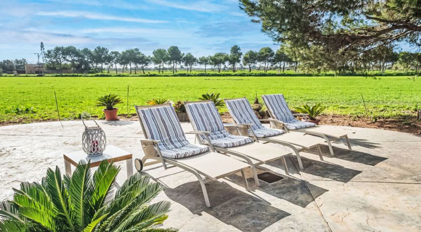 Photo of Finca Ca na Brila