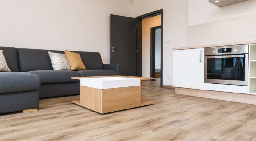 Photo of Simba Klínovec Apartment 2