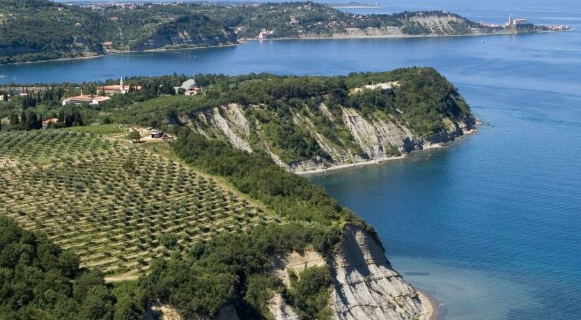 Photo of Salinera Apartment 16