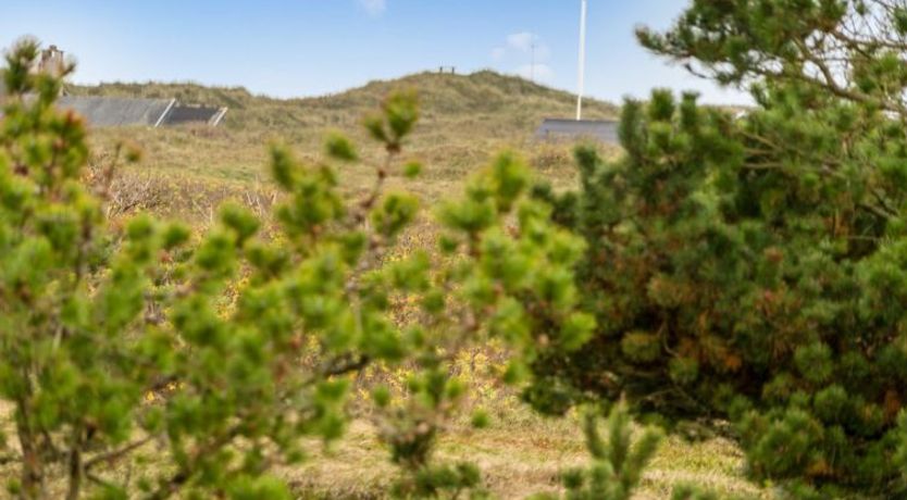 Photo of "Caya" - 750m from the sea