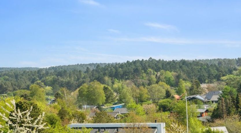 Photo of "Talika" - 700m from the sea