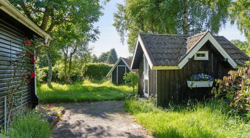 Photo of "Fedder" - 650m from the sea