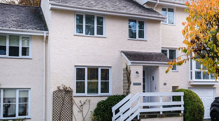 Photo of The Neon Rose