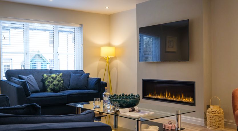 Photo of The Neon Rose