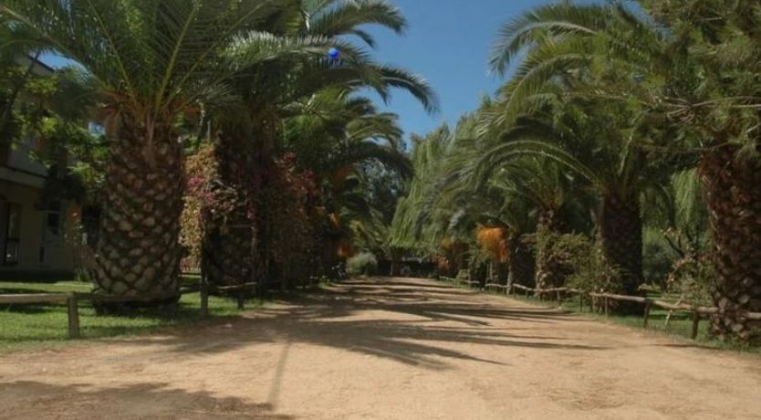 Photo of Camping Iscrixedda