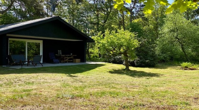 Photo of "Idalina" - 700m from the sea