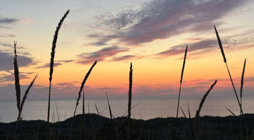 Photo of "Bjerund" - 300m from the sea