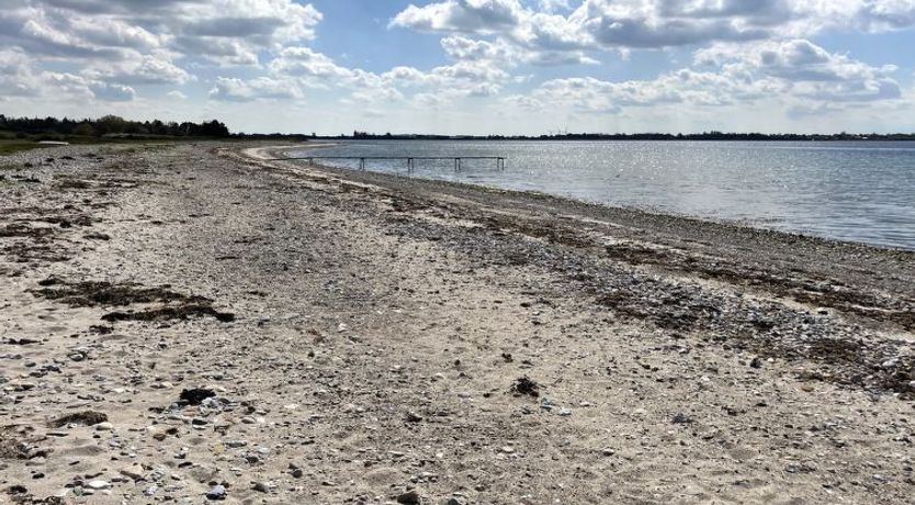 Photo of "Janick" - 150m from the sea