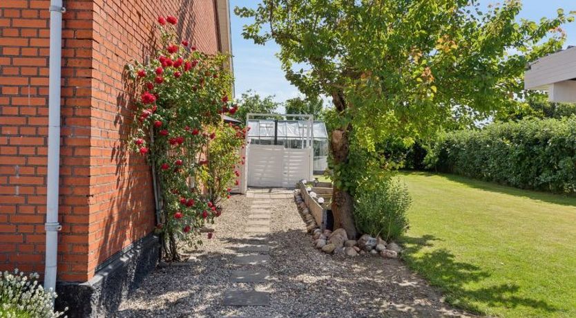 Photo of "Deljan" - 200m from the sea