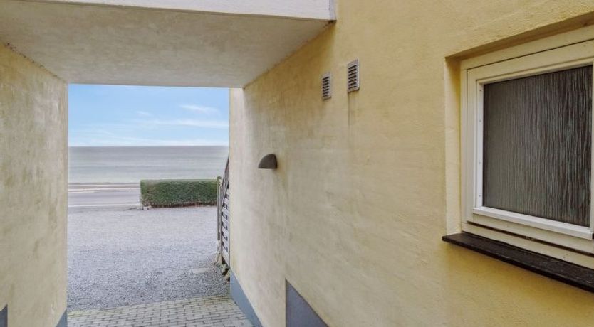 Photo of "Henna" - 50m from the sea