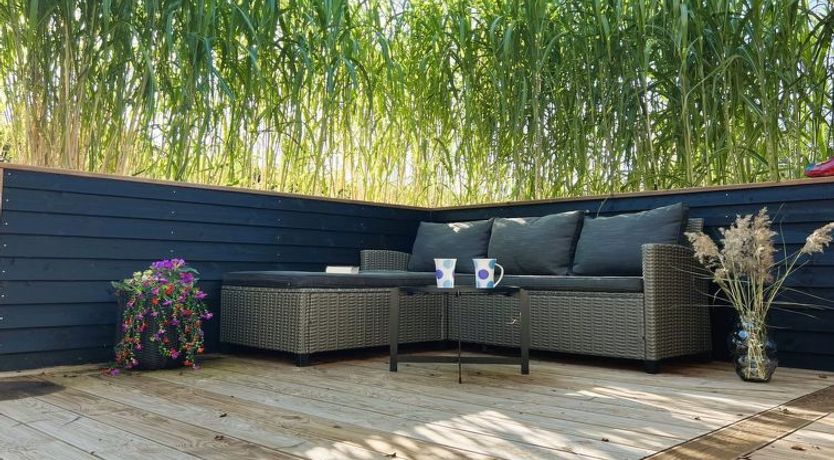 Photo of "Ronja" - 100m to the fjord