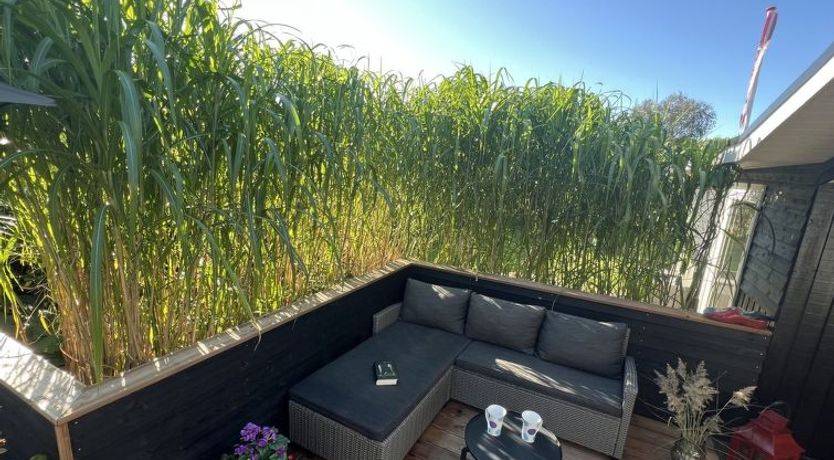 Photo of "Ronja" - 100m to the fjord