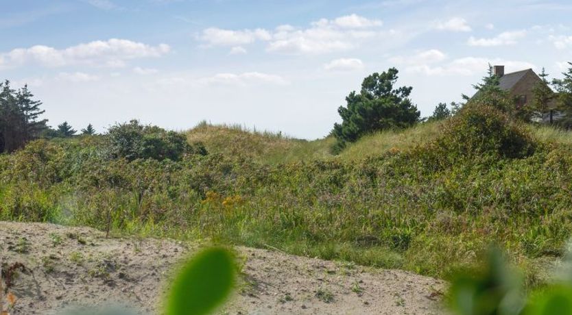 Photo of "Yakari" - 1km from the sea