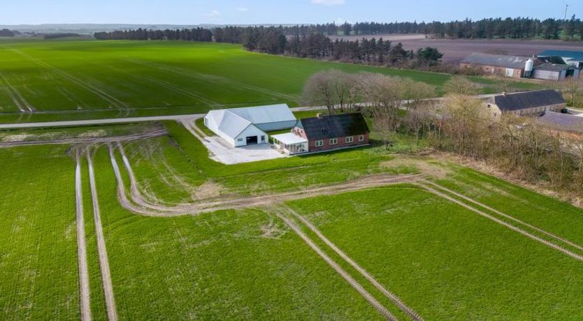 Photo of "Kerrin" - 1km from the sea