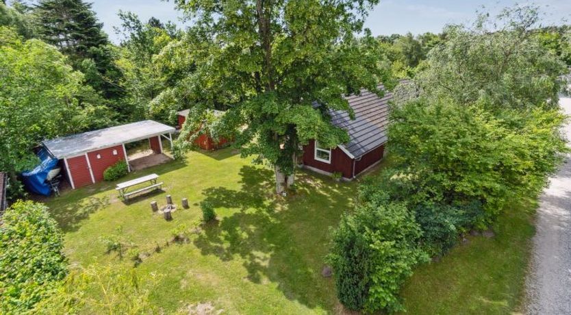 Photo of "Alger" - 450m from the sea