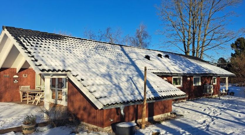 Photo of "Alger" - 450m from the sea