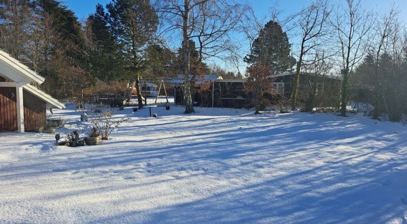 Photo of "Alger" - 450m from the sea