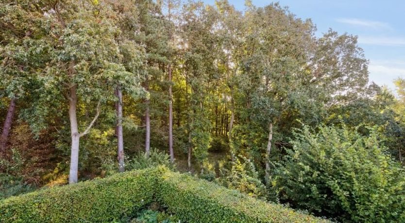 Photo of "Thiokk" - 500m from the sea