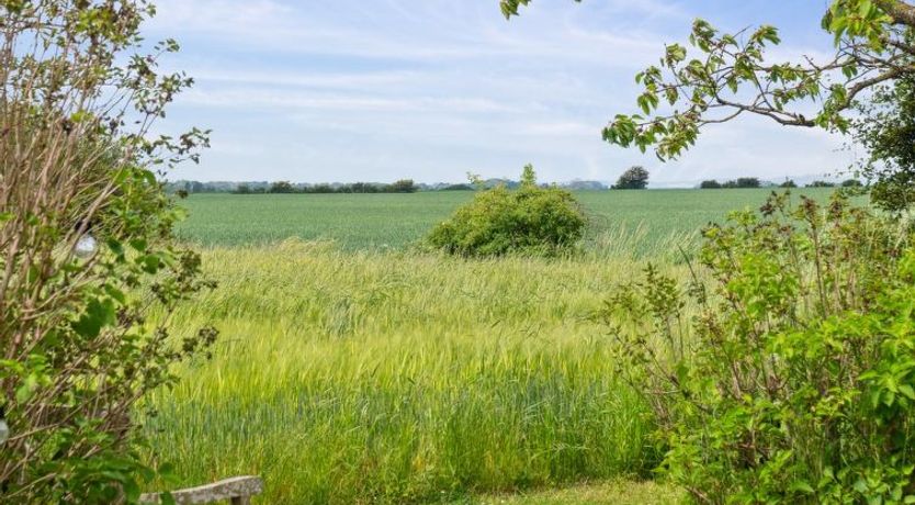 Photo of "Ødke" - 350m from the sea