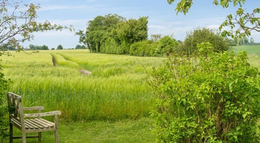 Photo of "Ødke" - 350m from the sea