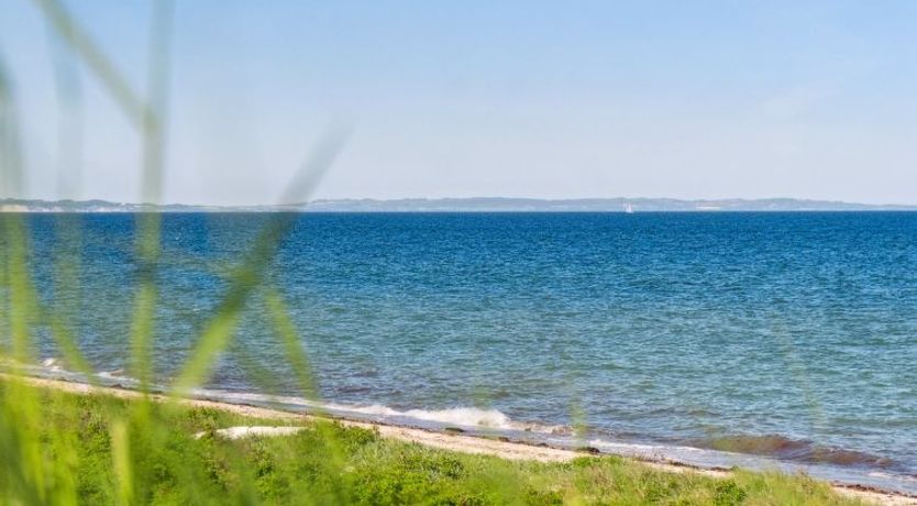 Photo of "Jolanta" - 20m from the sea