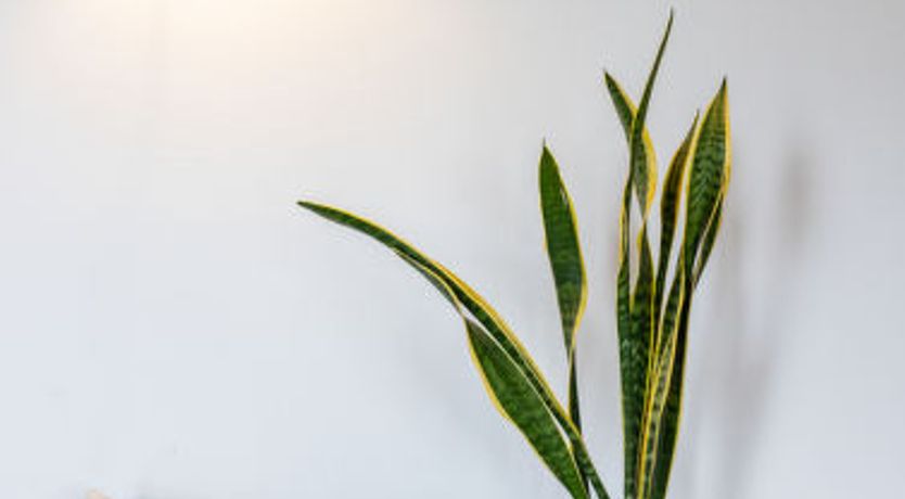 Photo of Natuurlijk de Veenhoop