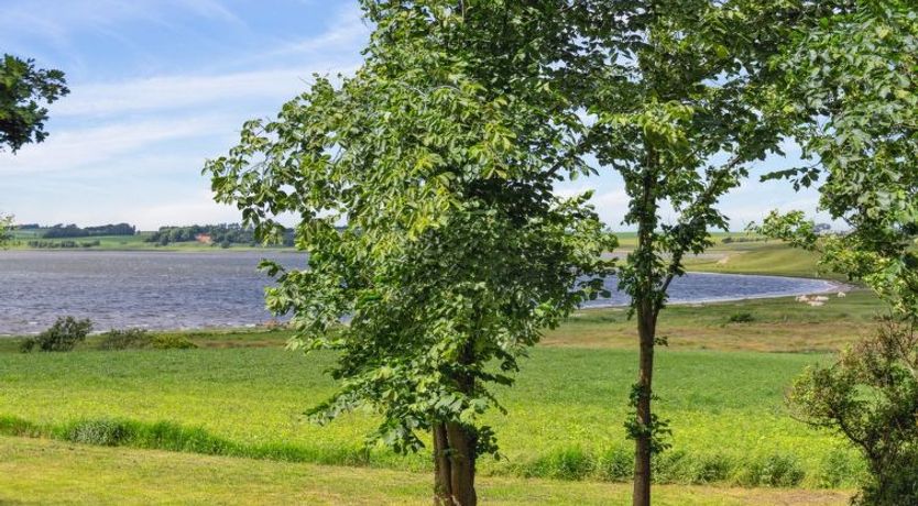 Photo of "Månviva" - 150m to the fjord