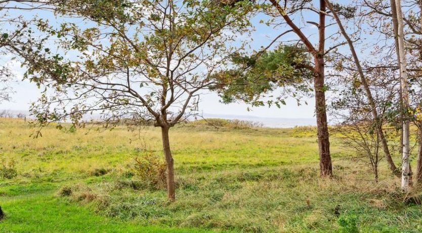 Photo of "Thara" - 100m from the sea