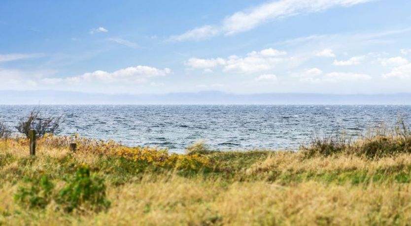 Photo of "Thara" - 100m from the sea