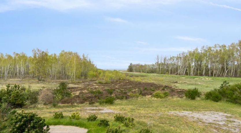 Photo of "Farah" - 275m from the sea