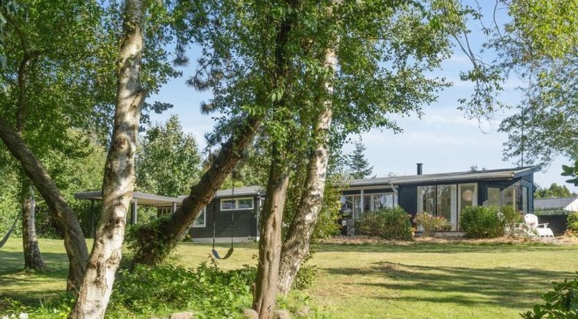 Photo of "Fintan" - 1km from the sea