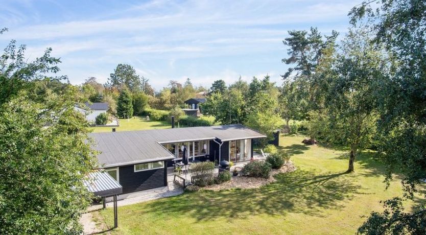 Photo of "Fintan" - 1km from the sea