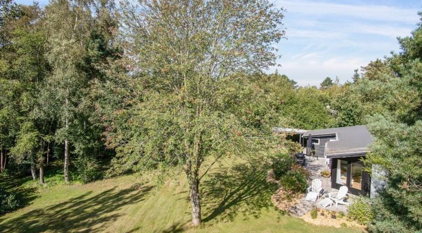 Photo of "Fintan" - 1km from the sea