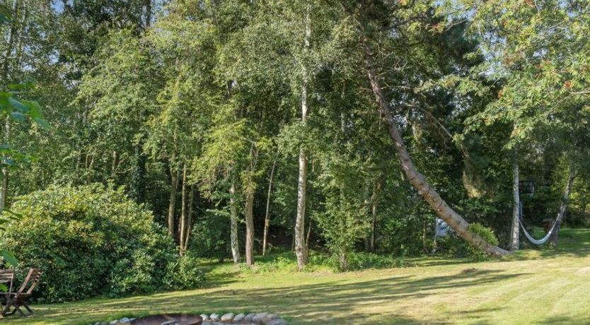 Photo of "Fintan" - 1km from the sea