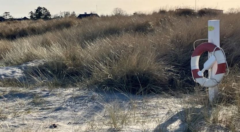 Photo of "Skade" - 10m from the sea