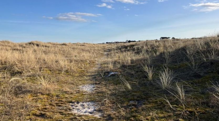 Photo of "Skade" - 10m from the sea