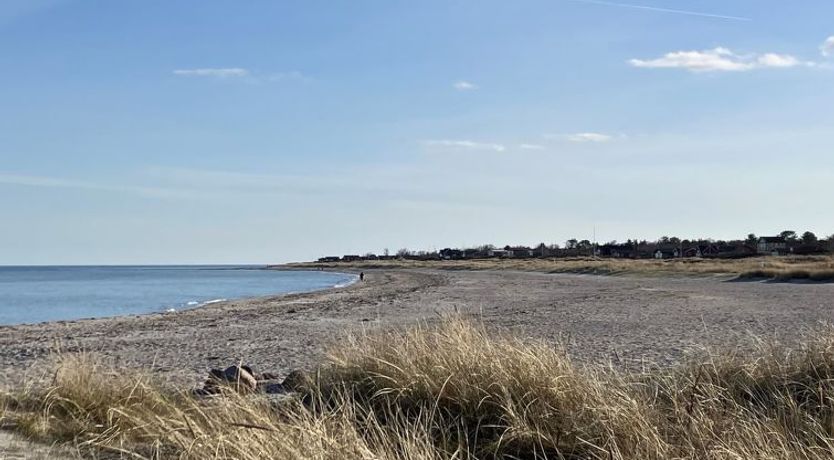 Photo of "Skade" - 10m from the sea