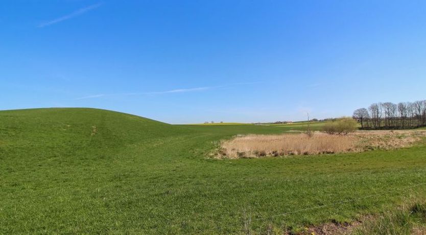 Photo of "Raafael" - 175m from the sea