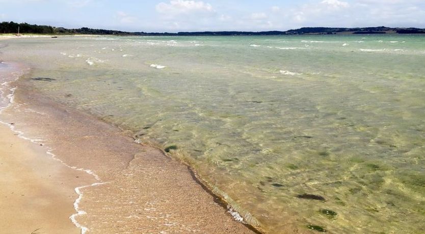 Photo of "Raafael" - 175m from the sea