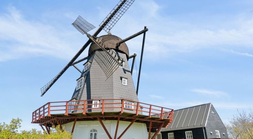 Photo of "Fania" - 500m from the sea