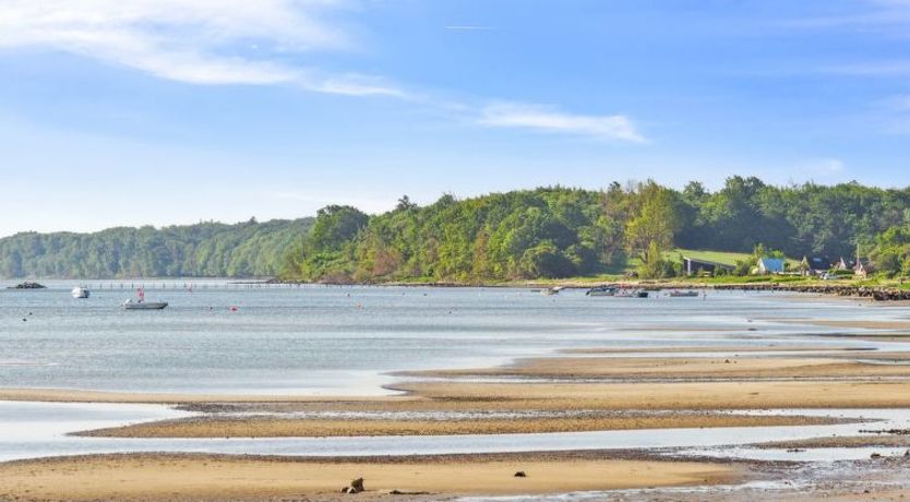 Photo of "Anselmi" - 25m from the sea