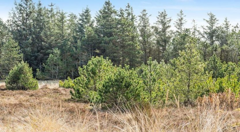 Photo of "Vappu" - 400m to the fjord