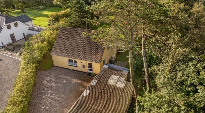 Photo of "Birtir" - 750m from the sea