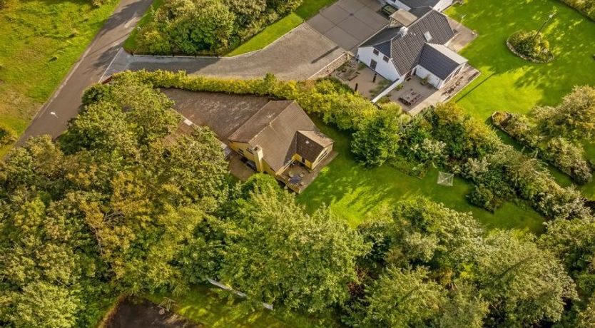 Photo of "Birtir" - 750m from the sea