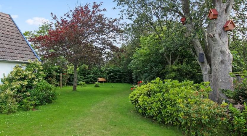 Photo of "Lilli" - 2km to the fjord